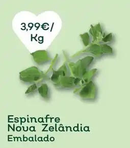 Celeiro Espinafre Nova Zelândia Embalado promoção