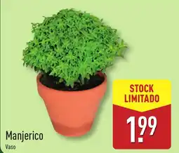 Manjerico Vaso