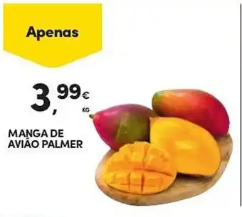 Continente Manga de avião palmer promoção