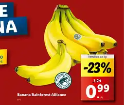 Lidl Banana Rainforest Alliance promoção