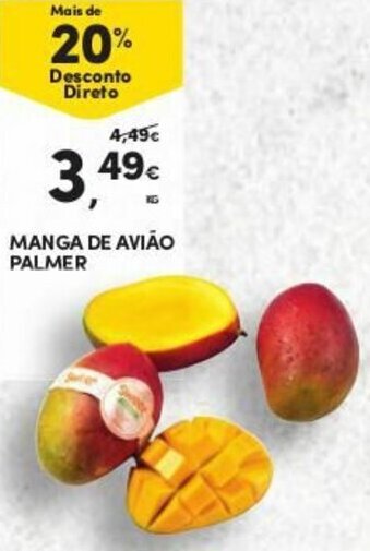 Manga de Avião Palmer