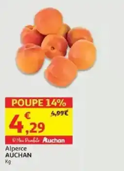 Alperce AUCHAN