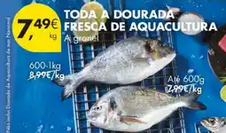 Pingo Doce Toda a dourada fresca de aquacultura promoção