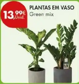Pingo Doce Plantas em vaso Green Mix promoção