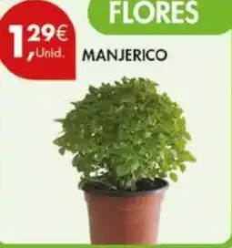 Pingo Doce Manjerico promoção