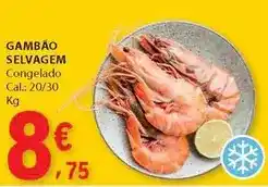 E.Leclerc Gambão selvagem promoção