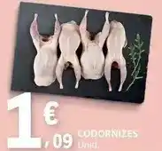 E.Leclerc Codorniz uni promoção