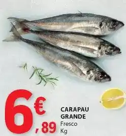 E.Leclerc Carapau grande promoção