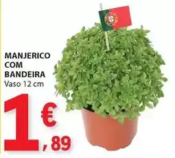 E.Leclerc com - manjerico com bandeira promoção