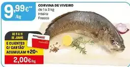 Intermarché Corvina de viveiro promoção