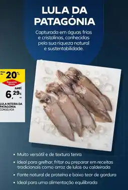 Continente LULA INTEIRA DA PATAGONIA CONGELADA promoção