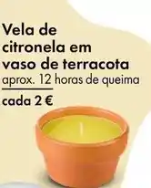 TEDi Vela de citronela em vaso de terracota promoção