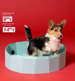 kik Piscina para cão promoção