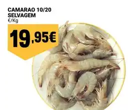 Neomáquina Camarao 10/20 selvagem promoção