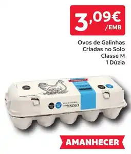 Amanhecer Ovos de Galinhas Criadas no Solo Classe M promoção