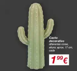 kik Cacto decorativo promoção