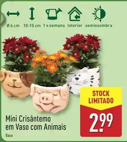 ALDI Mini - crisantemo em vaso com animais promoção