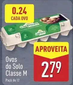 ALDI Ovos do solo classe m promoção