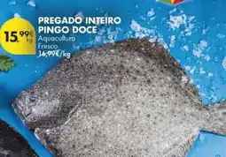 Pingo Doce Aquacultura - pregado inteiro pingo doce promoção