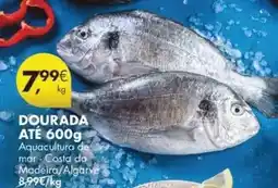 Pingo Doce Aquacultura - dourada promoção