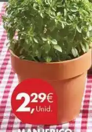Pingo Doce Manificado promoção