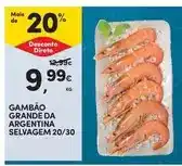 Continente Gambão argentina selvagem promoção