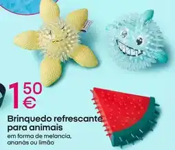 Pepco Forma+ - brinquedo refrescante para animais promoção