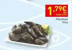 Recheio Mexilhão vivo promoção