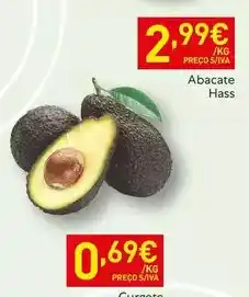 Recheio Abacate hass promoção