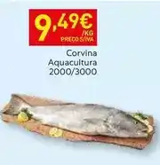 Recheio Aquacultura - corvina promoção