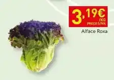Recheio Alface roxa promoção