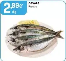 Intermarché Cavala promoção