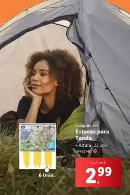 Lidl A+ - estacas para tenda promoção