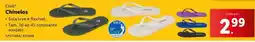 Lidl Crivit - chinelos promoção