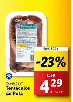 Lidl Ocean sea - tentaculos de pota promoção