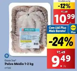 Lidl Ocean sea - polvo medio promoção
