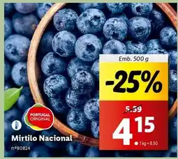 Lidl Portugal - mirtilo nacional promoção