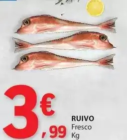 E.Leclerc Ruivo fresco promoção