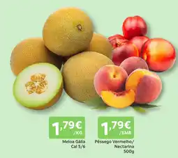 Amanhecer Meloa Gália Cal 5/6 promoção