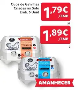 Amanhecer Ovos de Galinhas Criadas no Solo promoção