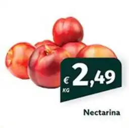 Roque Supermercados Nectarina promoção