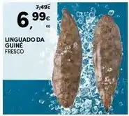 Continente Linguado da guine promoção
