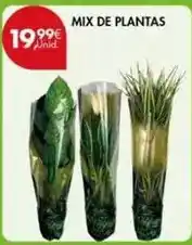 Pingo Doce Mix - de plantas promoção