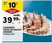 Continente Camarão tigre selvagem grande promoção