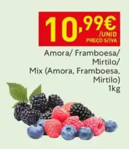 Recheio Amora/ Framboesa/ Mirtilo/ Mix promoção