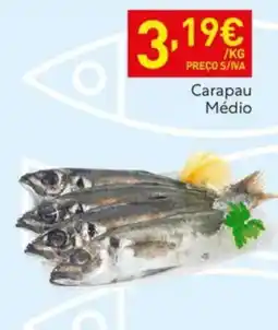 Recheio Carapau Médio promoção