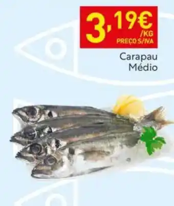 Recheio Carapau Médio promoção