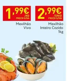 Recheio Mexilhão Inteiro Cozido promoção