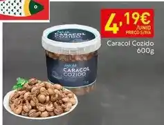 Recheio Caracol cozido promoção
