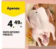 Continente Pato - inteiro fresco promoção